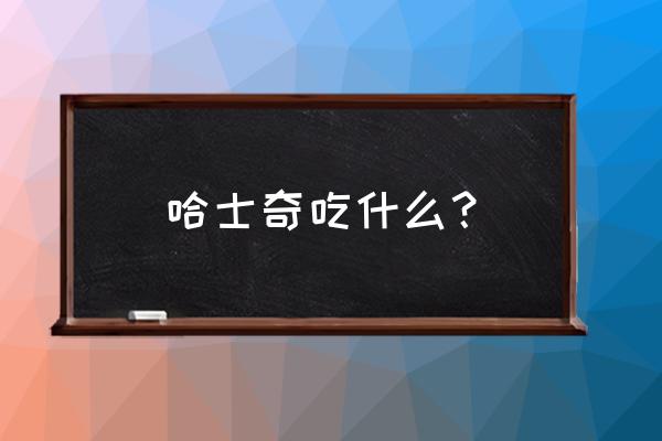 哈士奇可以喝巧克力奶吗 哈士奇吃什么? 哈士奇可以喝巧克力奶吗 哈士奇吃什么?