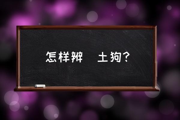 如何判断高加索和土狗 怎样辨別土狗? 如何判断高加索和土狗 怎样辨別土狗?
