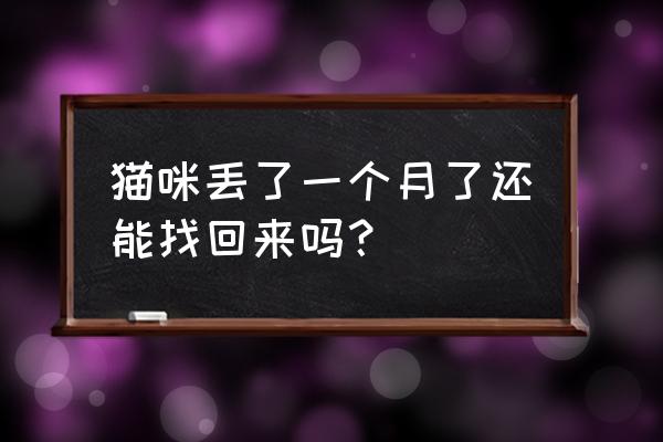 一个月大的小猫不见了怎么找 猫咪丢了一个月了还能找回来吗? 一个月大的小猫不见了怎么找 猫咪丢了一个月了还能找回来吗?